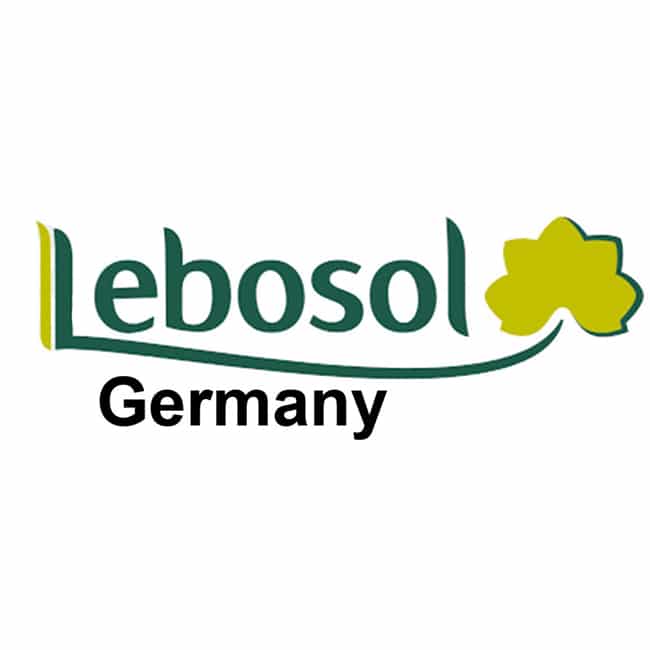 GSD GmbH Lebosol