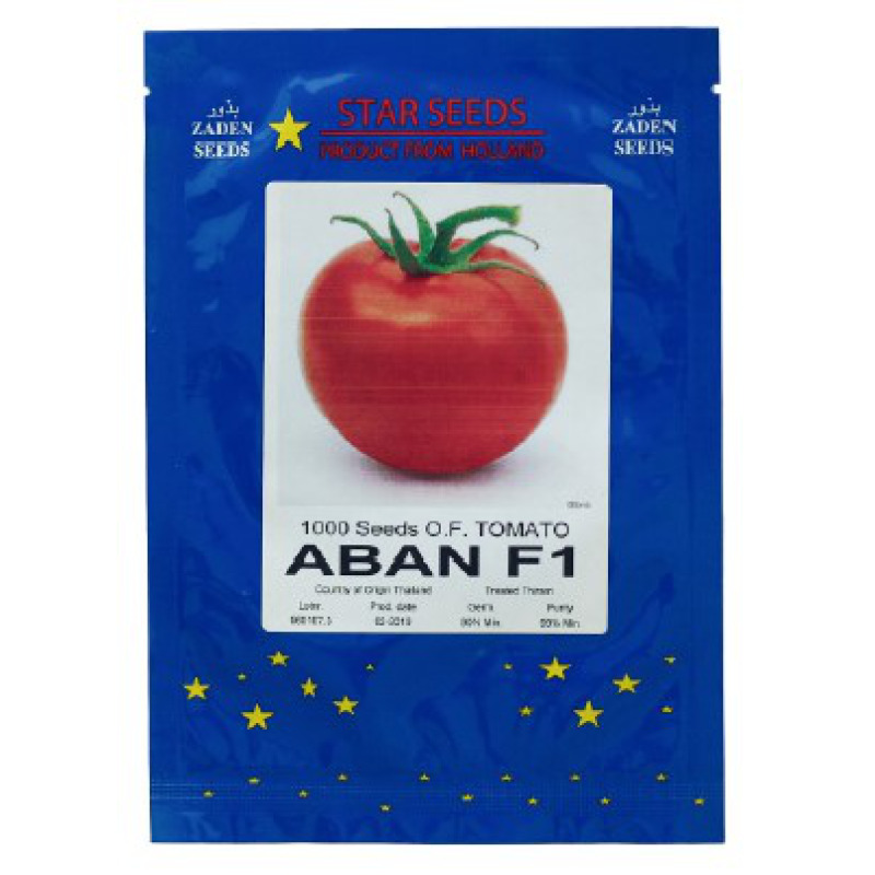 Tomato Aban F1 Star Seed GSD GmbH