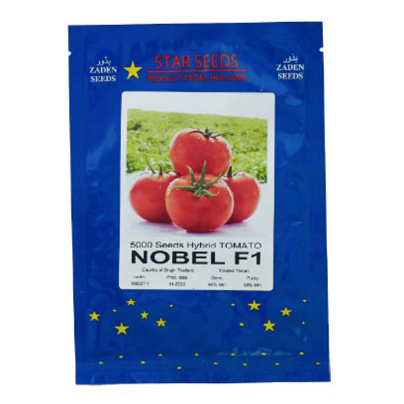 Tomato Nobel F1 Star Seed GSD GmbH