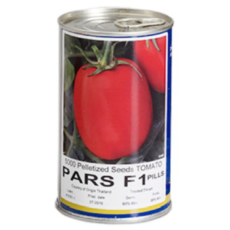 Tomato Pars F1 Star Seed GSD GmbH