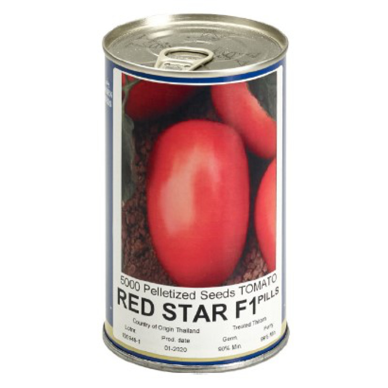 Tomato Red Star F1 Star Seed GSD GmbH