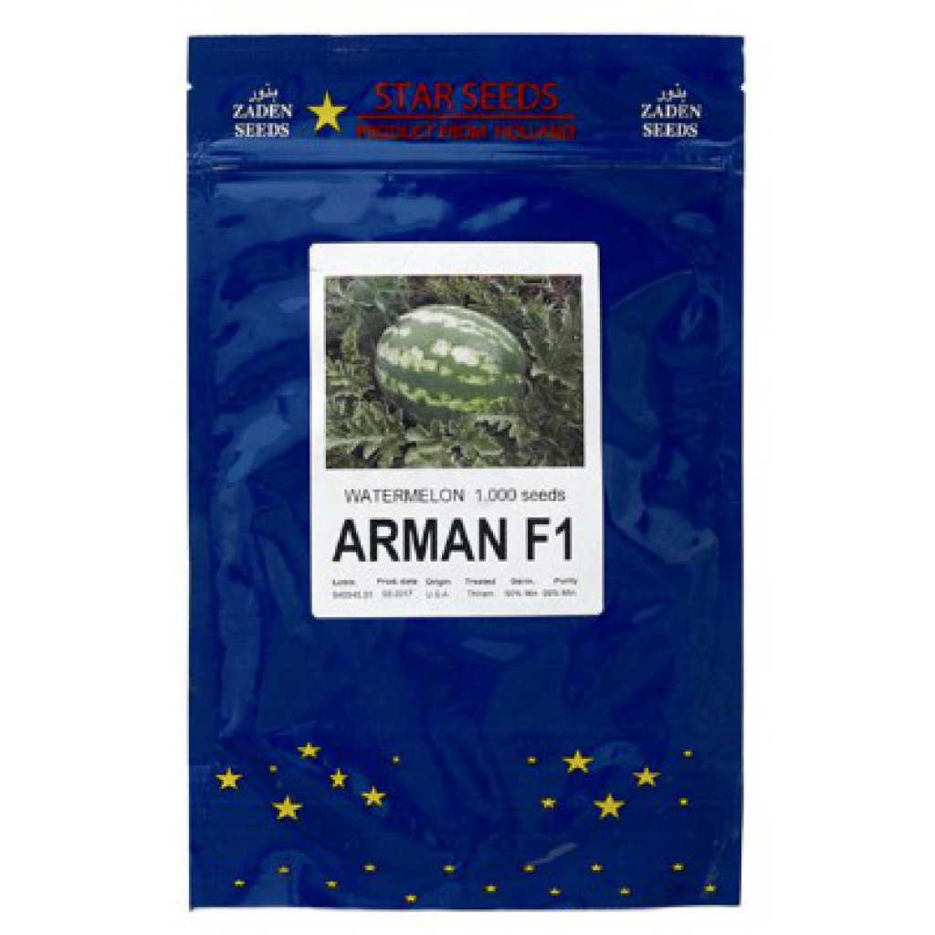 Watermelon Arman F1 Star Seed GSD GmbH