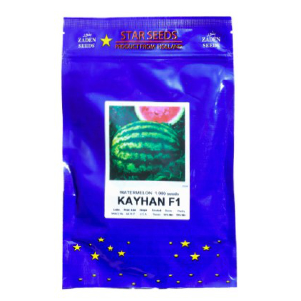 Kayhan Watermelon F1 Star Seed GSD GmbH