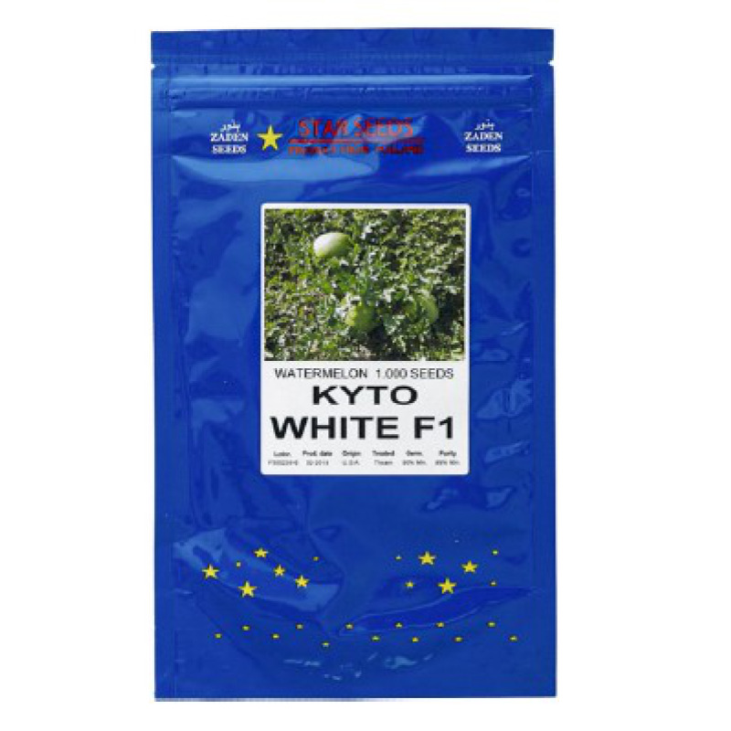 Watermelon Kyto White F1 Star Seed GSD GmbH