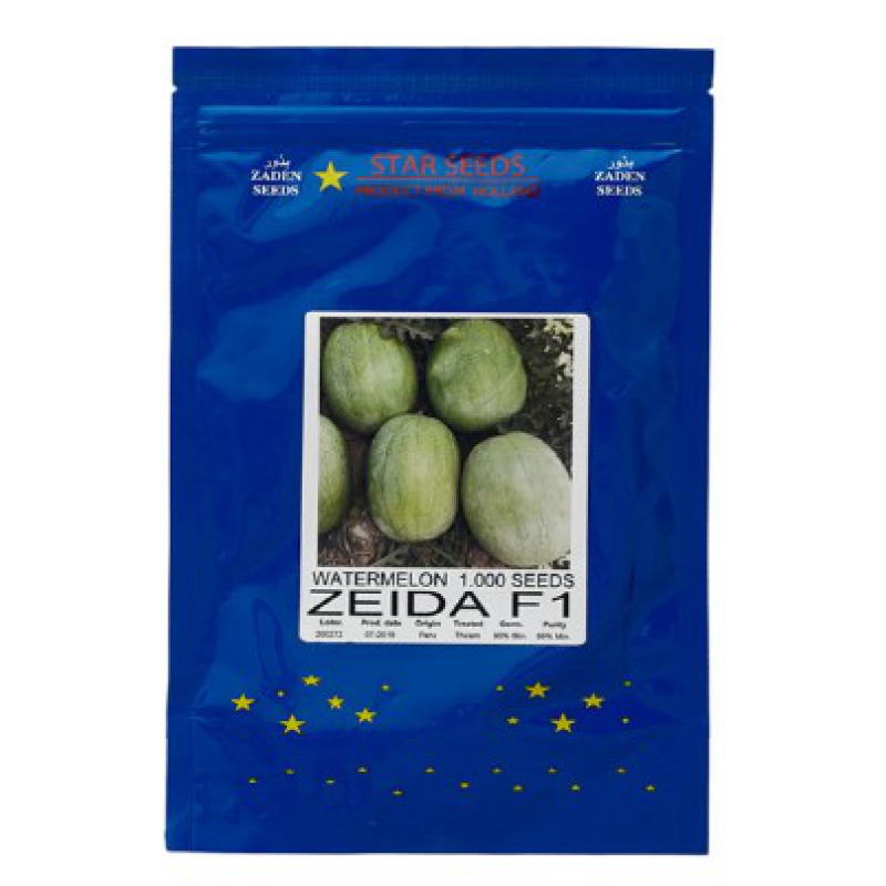 Watermelon Zeida F1 Star Seed GSD GmbH