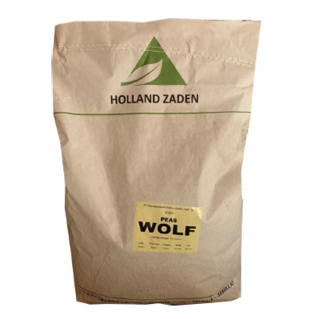 Pea Wolf Holland Zaden GSD GmbH