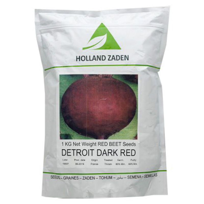 Beetroot Detroit Dark Red Holland Zaden GSD GmbH