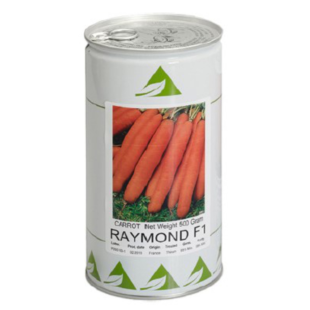 Carrot Raymond F1 Holland Zaden GSD GmbH