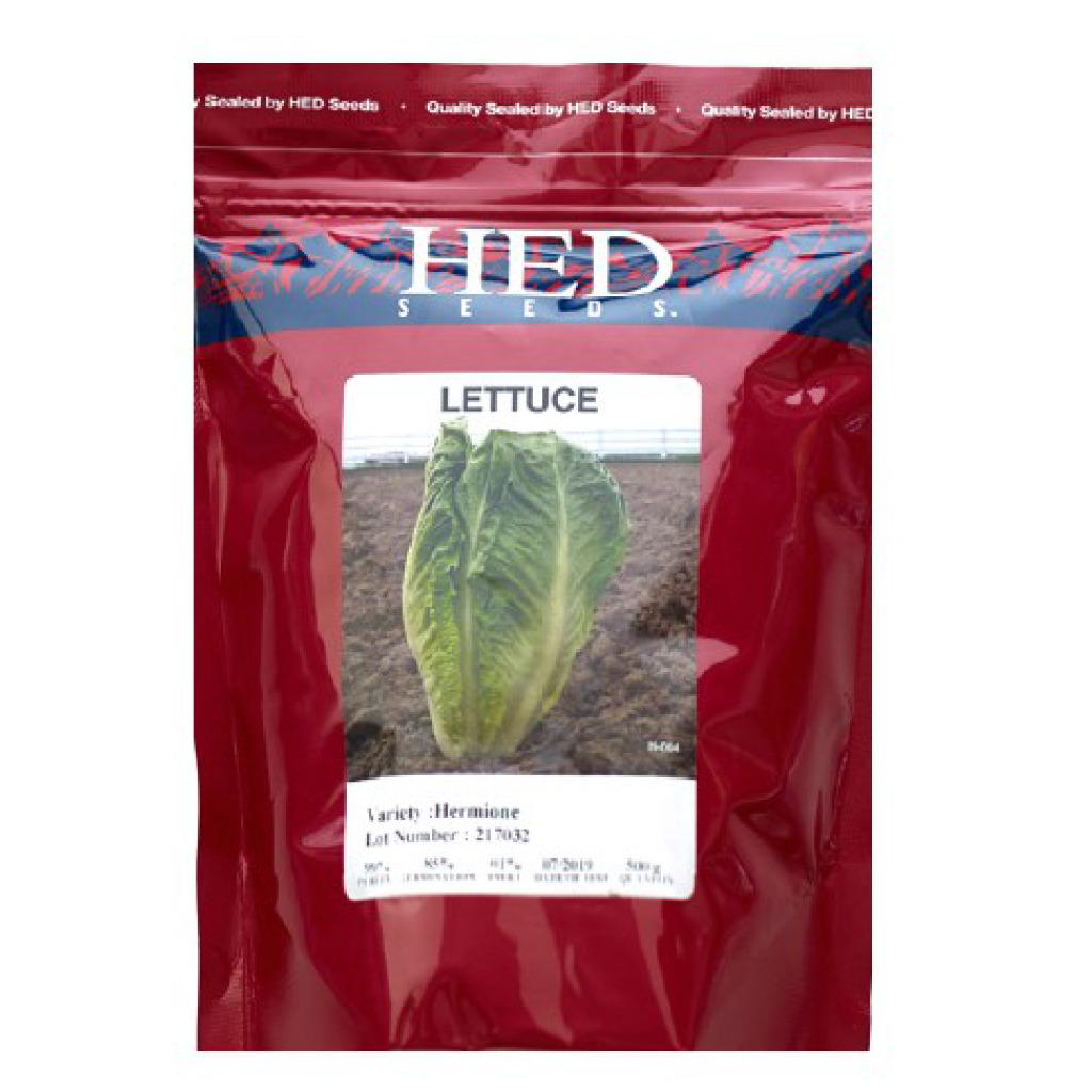 Lettuce Hermione H.E.D GSD GmbH